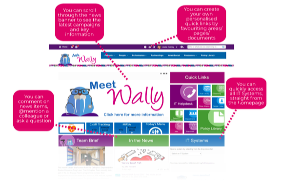 Ask Wally homepage for WWL